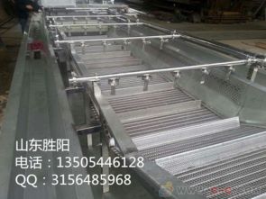 山东果蔬类气泡清洗机生产厂家图片与价格指南